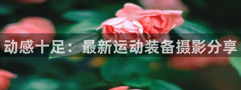 凯捷体育招商电话地址查询：动感十足：最新运动装备摄影