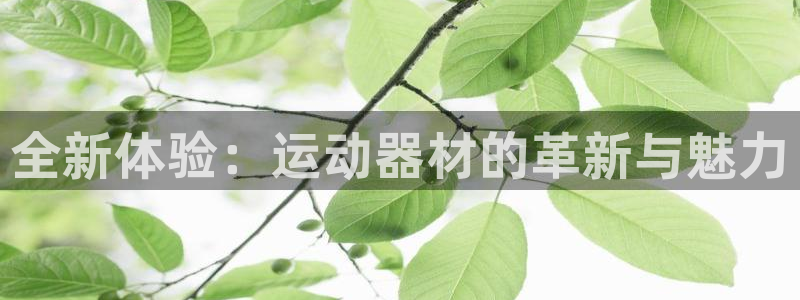 凯捷体育娱乐首页官网下载：全新体验：运动器材的革新与