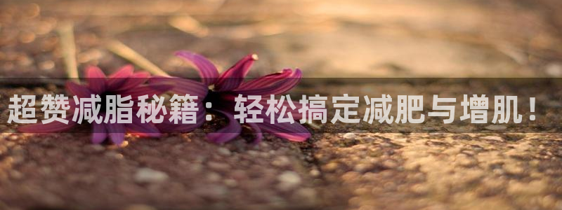 凯捷体育招商电话号码是多少号