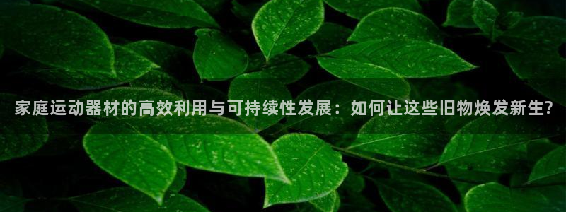 凯捷体育平台注册要钱吗是真的吗：家庭运动器材的高效利用与可持